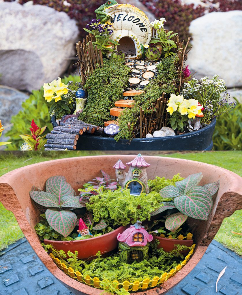 Fairy Garden