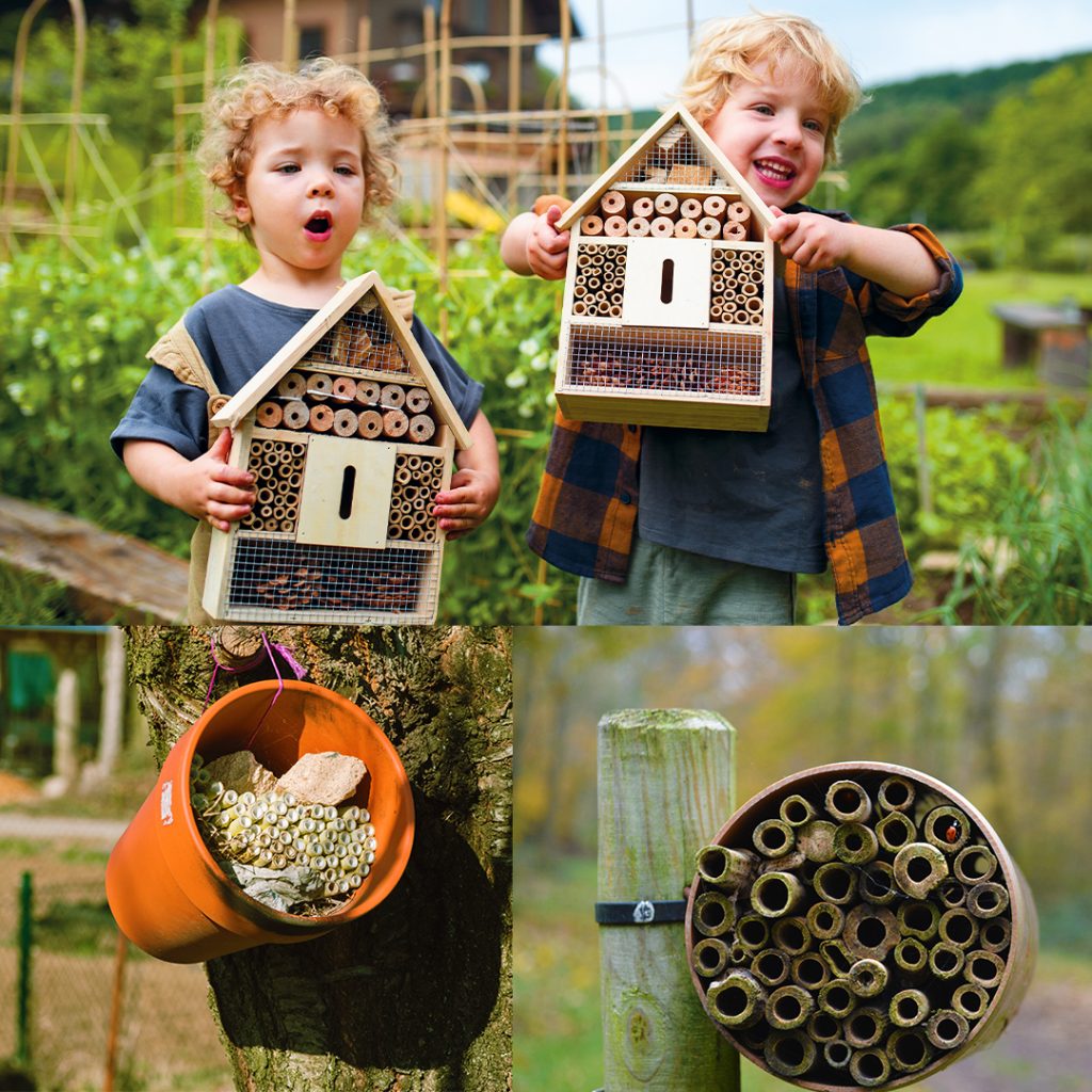 Bug Hotel